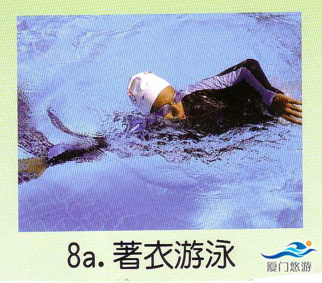 ss8a.jpg