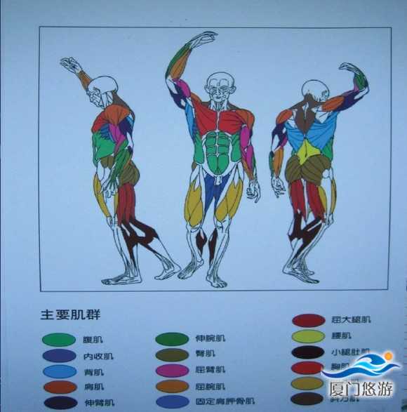 b_large_Zat5_204e0000ce2d5c3f.jpg