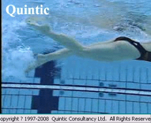 20080222_6a5dcd0caa00ab18d5f6ssOfAIQeGlTS.gif