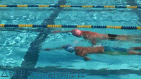 1203302329d92c225d09809952.gif