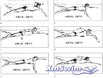 200381914305513739.jpg