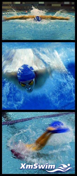 fastfinfly.jpg