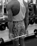 上臂三头肌 直臂后抬.gif