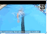 划水.gif