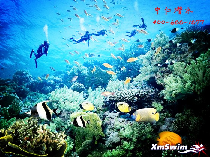 20110929171725_766_副本.jpg
