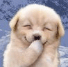 QQ图片20140220110114.gif