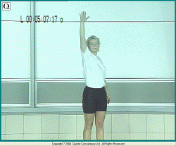 12975a28383g213.gif