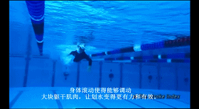 索普-自由泳5要素5-身体滚动.mp4_1435065507.gif