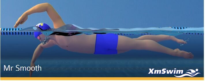 自由泳3D动画