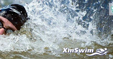 2016年里约奥运会公开水域10km马拉松游泳资格赛