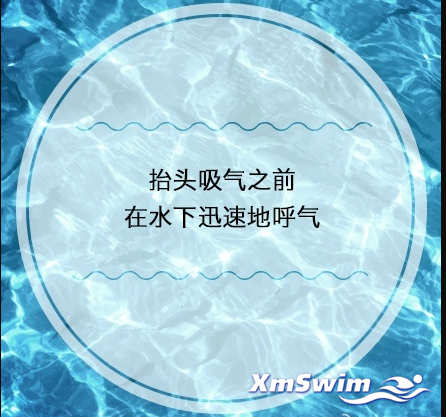 蝶泳换气