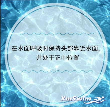 蝶泳换气