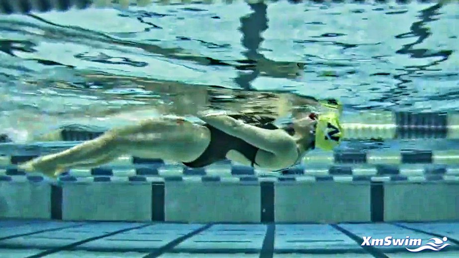 LEARNING THE UNDERWATER DOLPHIN - STEP 1