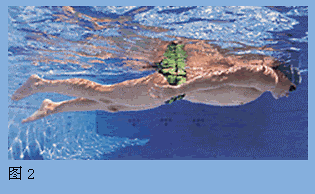 图2.gif