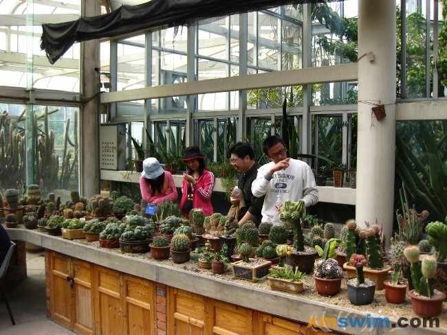 植物园照片 065 (650x488).jpg