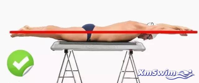 【爬泳技巧】自由泳的开肩、转肩和伸展技巧展示！